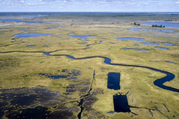 drone lotnicze zdjecie bagien wzdluz rzeki