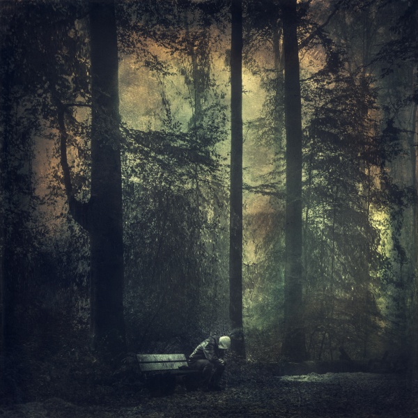 mezczyzna siedzacy na lawce w lesie